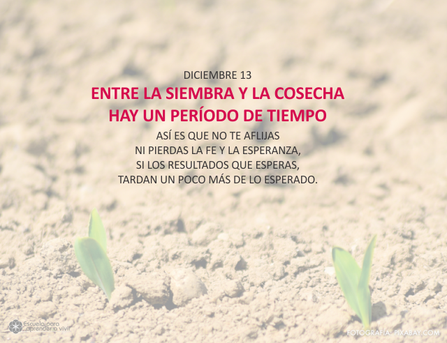 Entre la siembra y la cosecha hay un período de tiempo